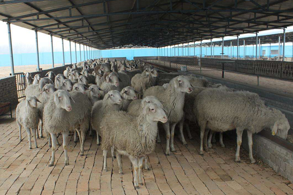 ������w�|Ѻ